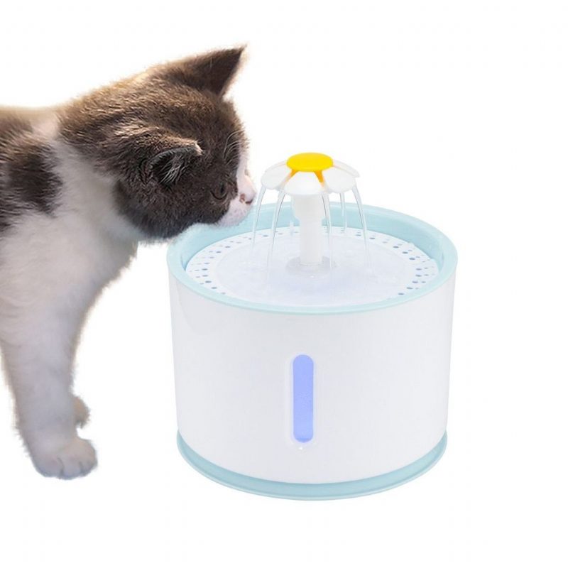 Fontaine À Boire Pour Distributeur D'eau Pour Animaux De Compagnie À Led