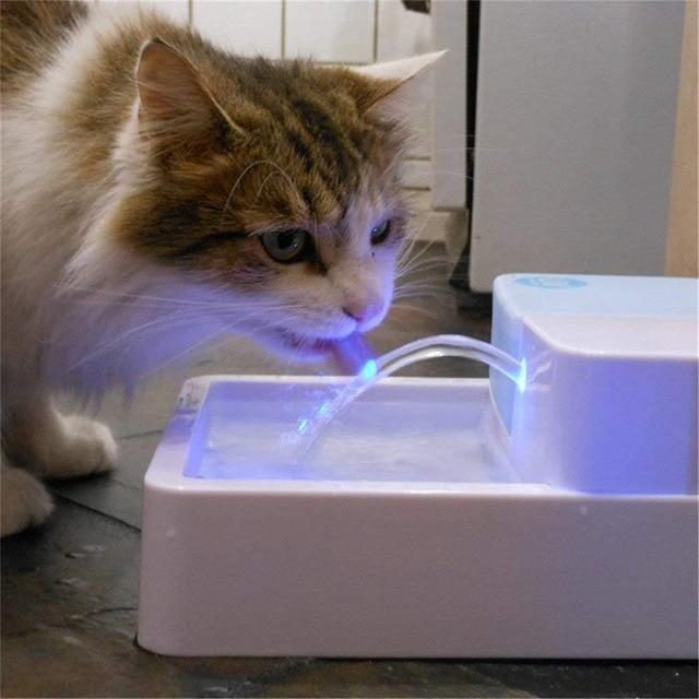 Fontaine De Filtration D'eau Pour Animaux De Compagnie