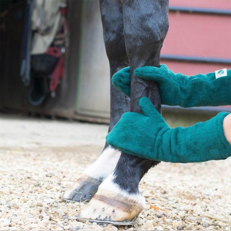 Gants De Serviette Pour Animaux De Compagnie