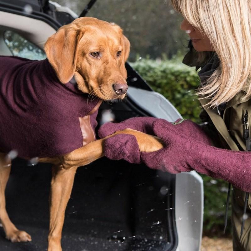 Gants De Serviette Pour Animaux De Compagnie