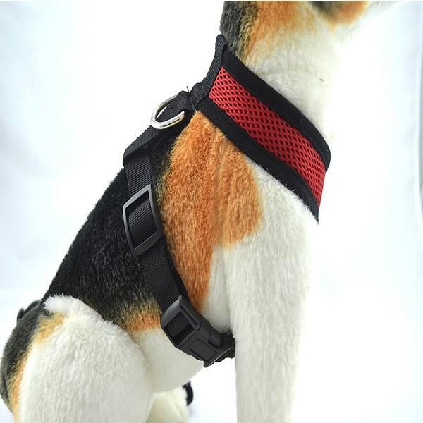 Gilet De Poitrine De Harnais De Chien