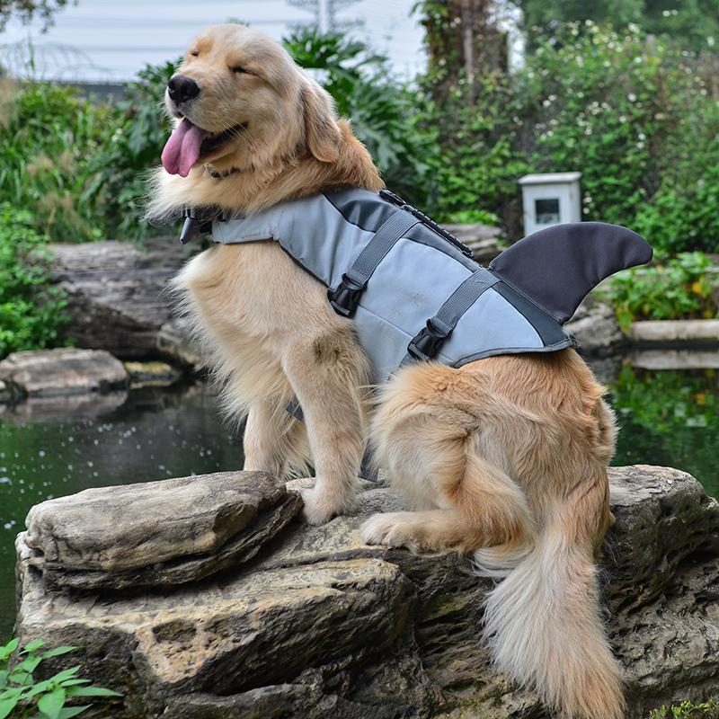 Gilet De Sauvetage À Thème Chien