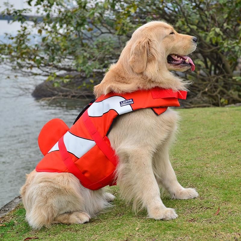 Gilet De Sauvetage À Thème Chien