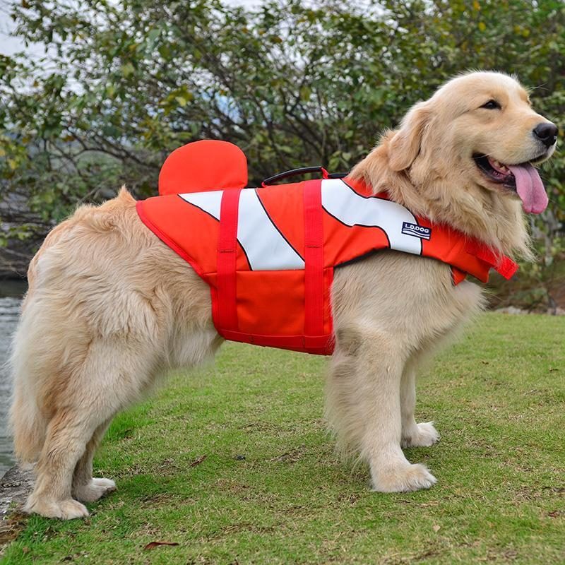 Gilet De Sauvetage À Thème Chien