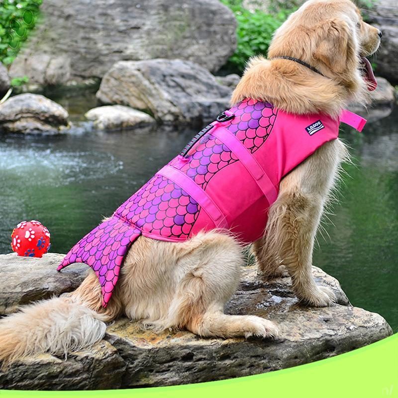 Gilet De Sauvetage À Thème Chien