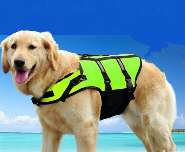 Gilet De Sauvetage Pour Animaux De Compagnie Gilet De Sécurité Harnais De Natation