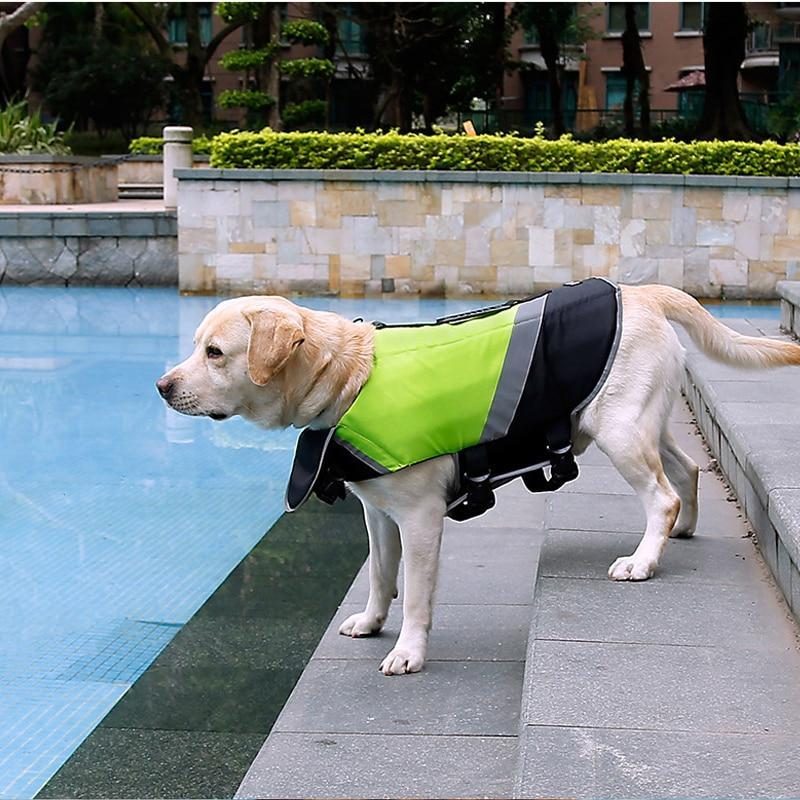 Gilet De Sauvetage Pour Chien Avec Rembourrage Supplémentaire