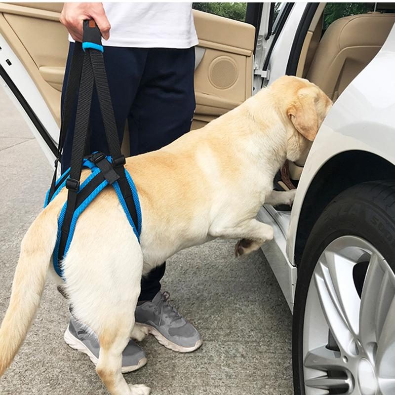 Harnais De Levage Réglable Pour Les Pattes Arrière