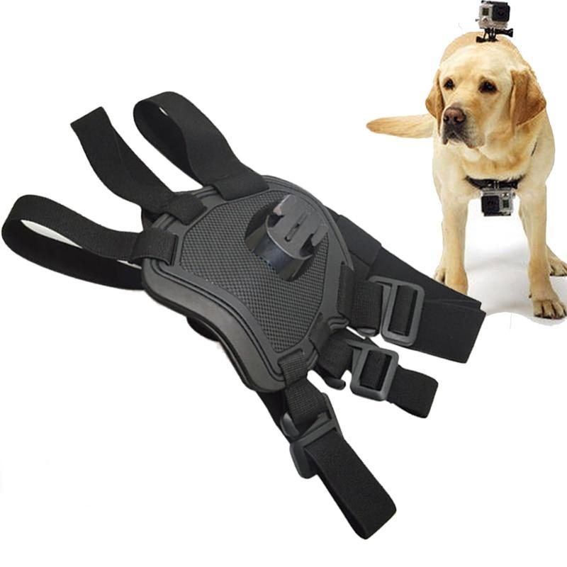 Harnais Élastique Réglable Pour Animaux De Compagnie Avec Support Arrière Pour Caméra D'action Gopro