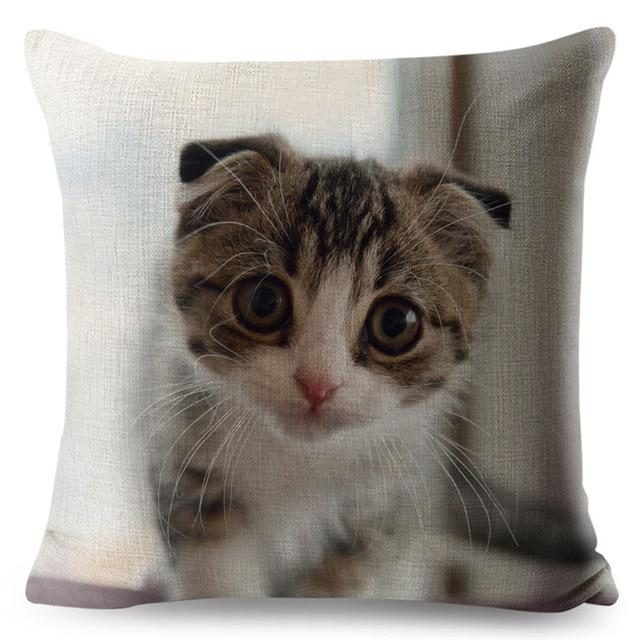 Housse De Coussin Chat Écossais 3d