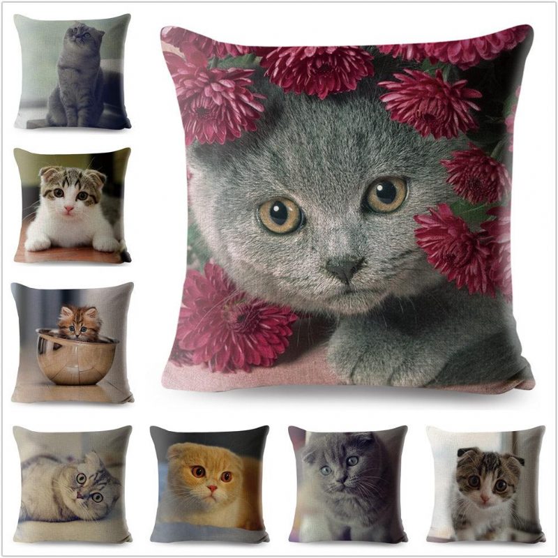 Housse De Coussin Chat Écossais 3d