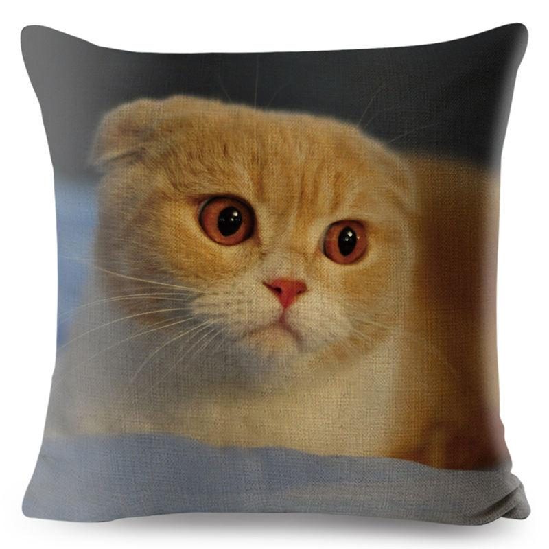 Housse De Coussin Chat Écossais 3d