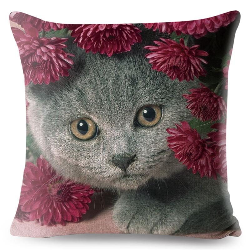 Housse De Coussin Chat Écossais 3d