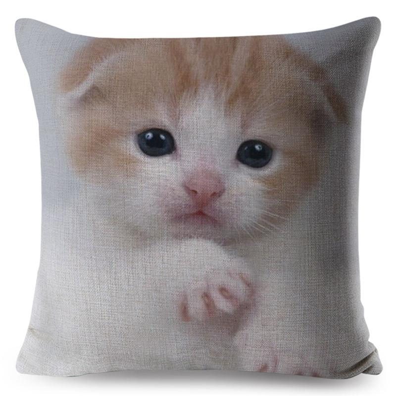 Housse De Coussin Chat Écossais 3d