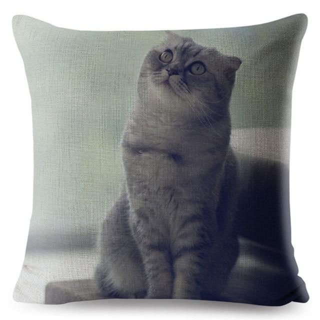 Housse De Coussin Chat Écossais 3d