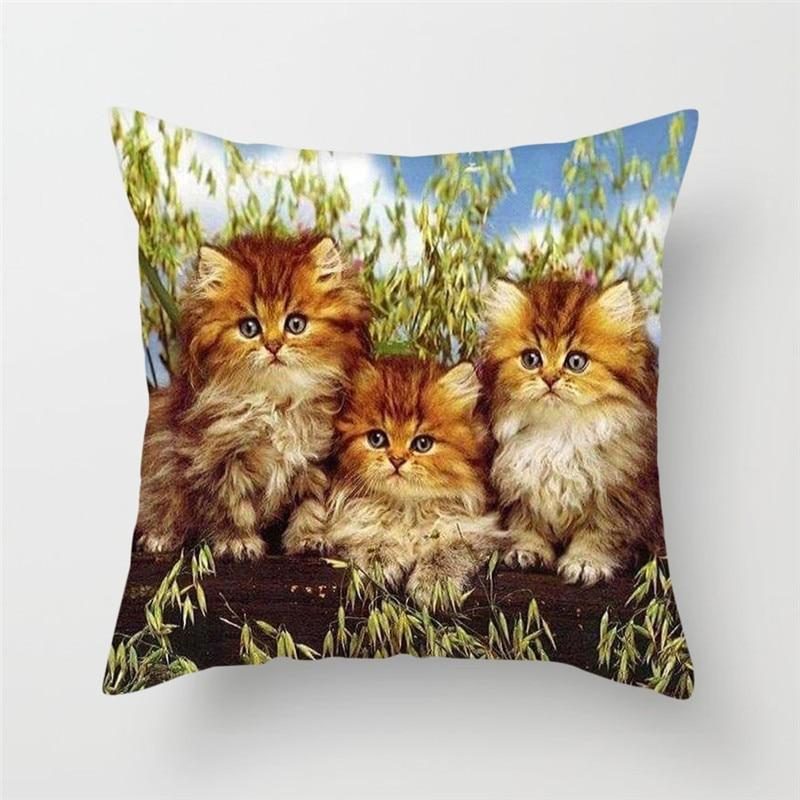 Housse De Coussin Dessins De Chat Drôle