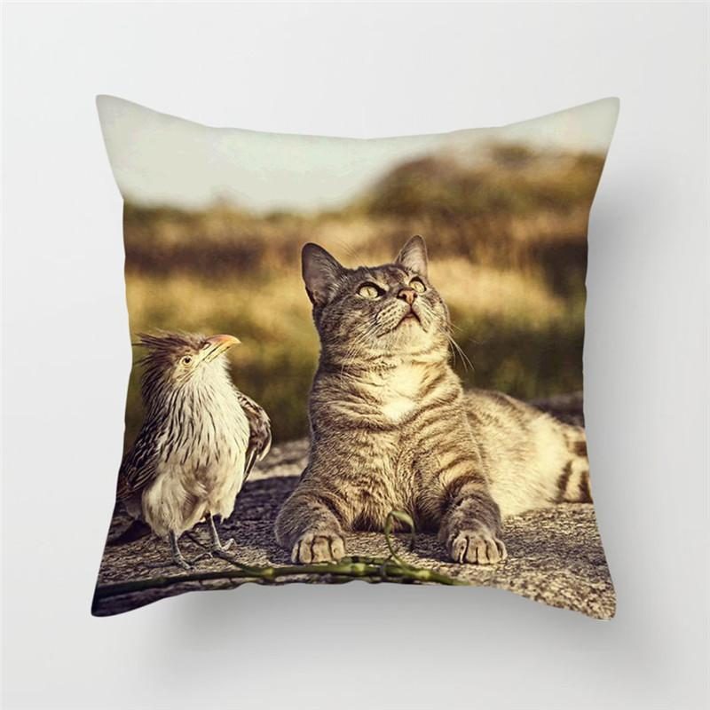 Housse De Coussin Dessins De Chat Drôle