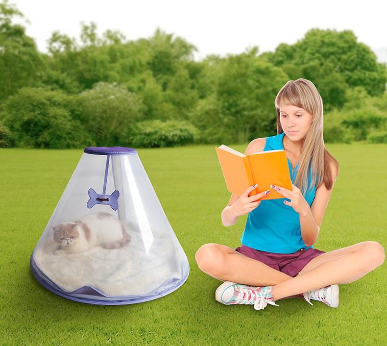 Igloo Extérieur Transparent Pour Animaux De Compagnie