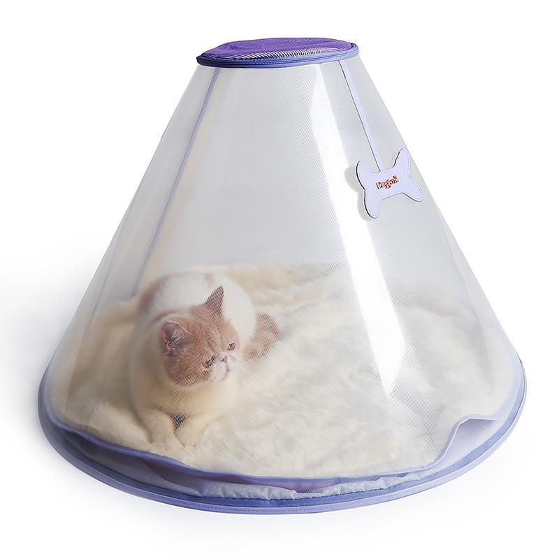 Igloo Extérieur Transparent Pour Animaux De Compagnie