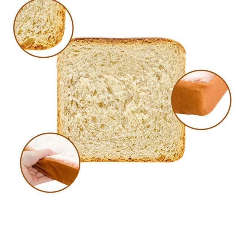 Introduction Du Lit Pour Chat Toast Bread