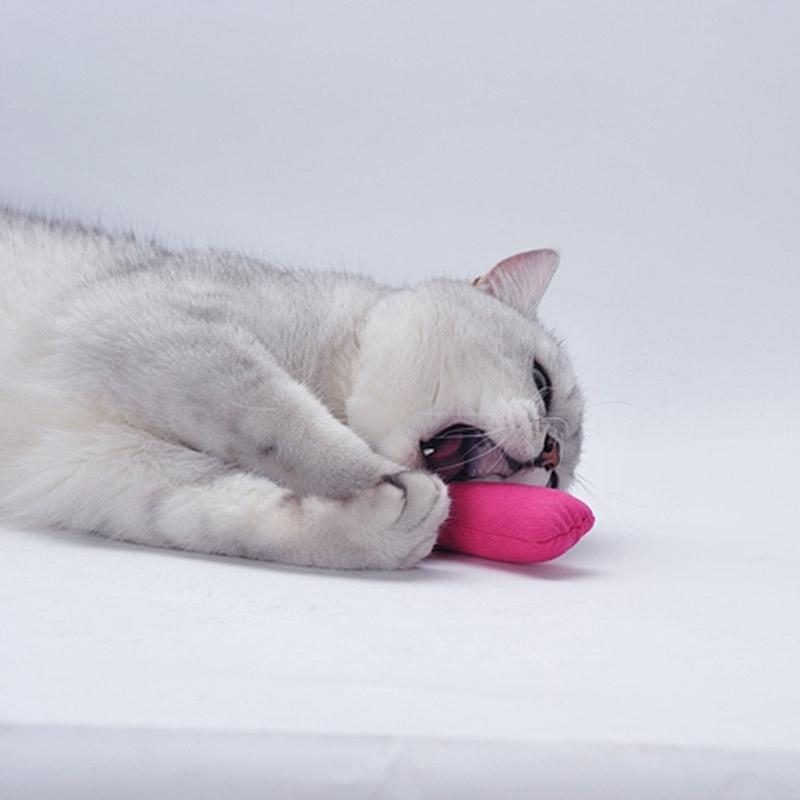 Joli Jouet En Peluche En Forme D'animal À Cataire