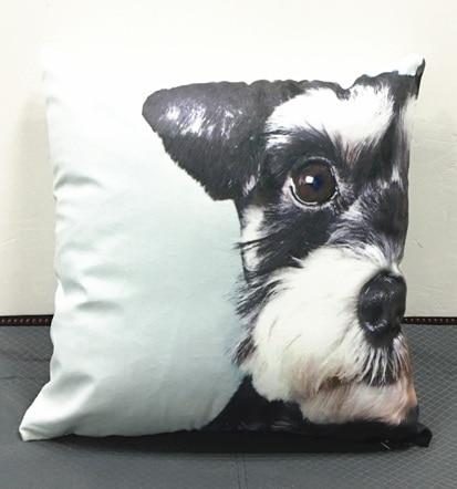 Jolie Housse De Coussin À Imprimé Schnauzer