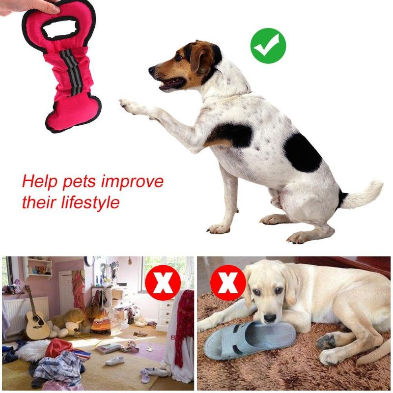 Jouet À Mâcher Interactif Pour Animaux De Compagnie