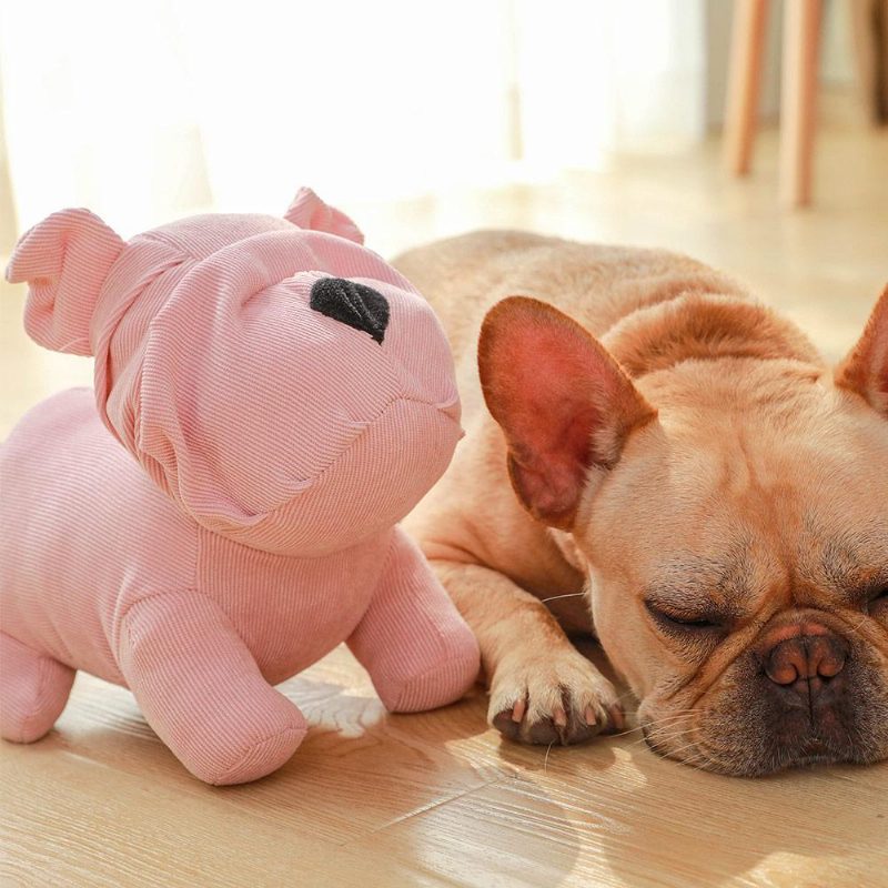 Jouet À Mâcher Pour Animaux De Compagnie Bouledogue Français