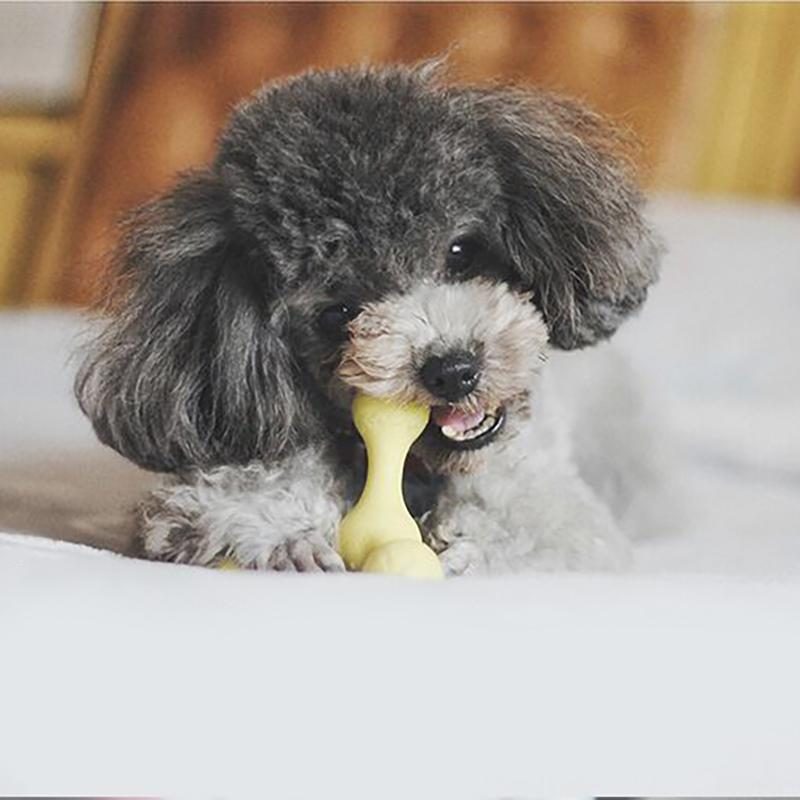 Jouet À Mâcher Pour Chien Roly-poly