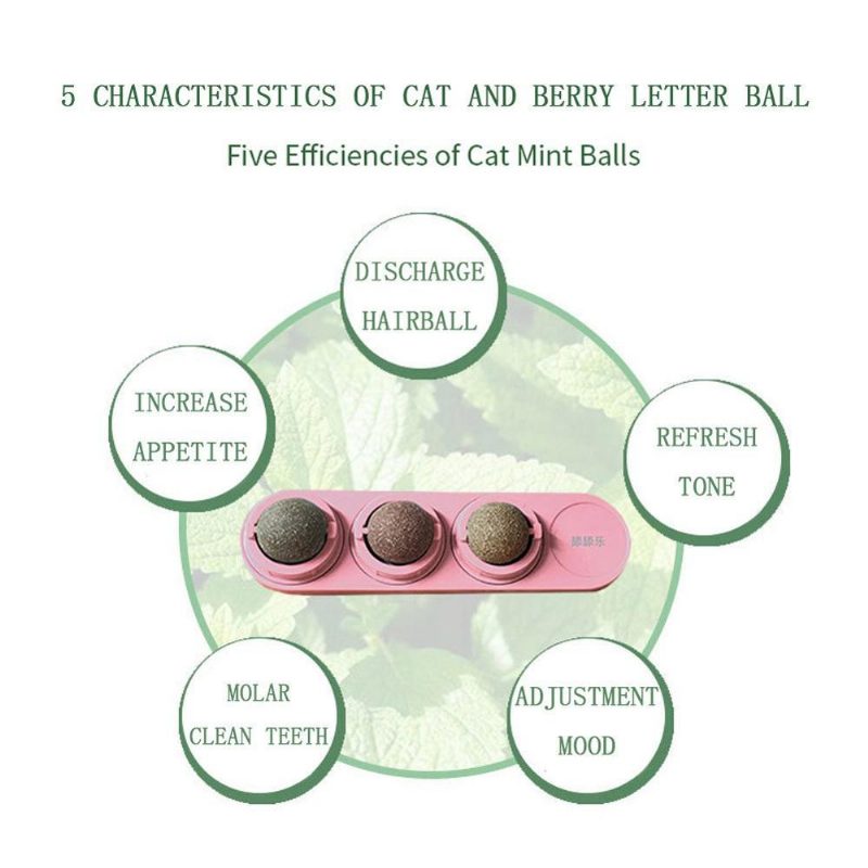 Jouet Boule De Dentition Molaire Cataire Cataire