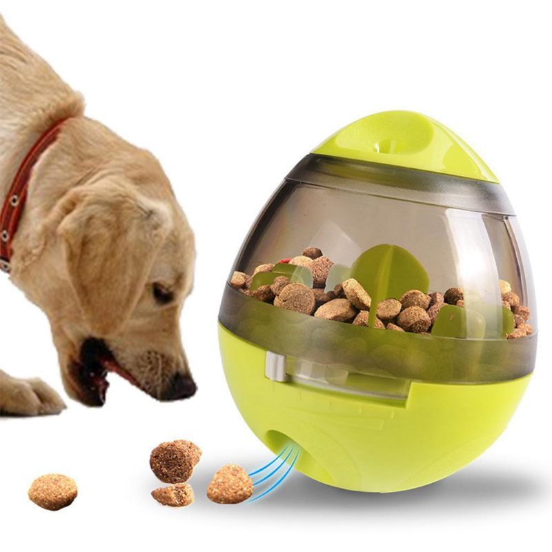 Jouet De Balle Interactif Pour Chien Iq Treat