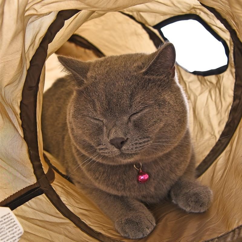 Jouet De Jeu De Tunnel Pour Chat Pliable Marron En Forme De S