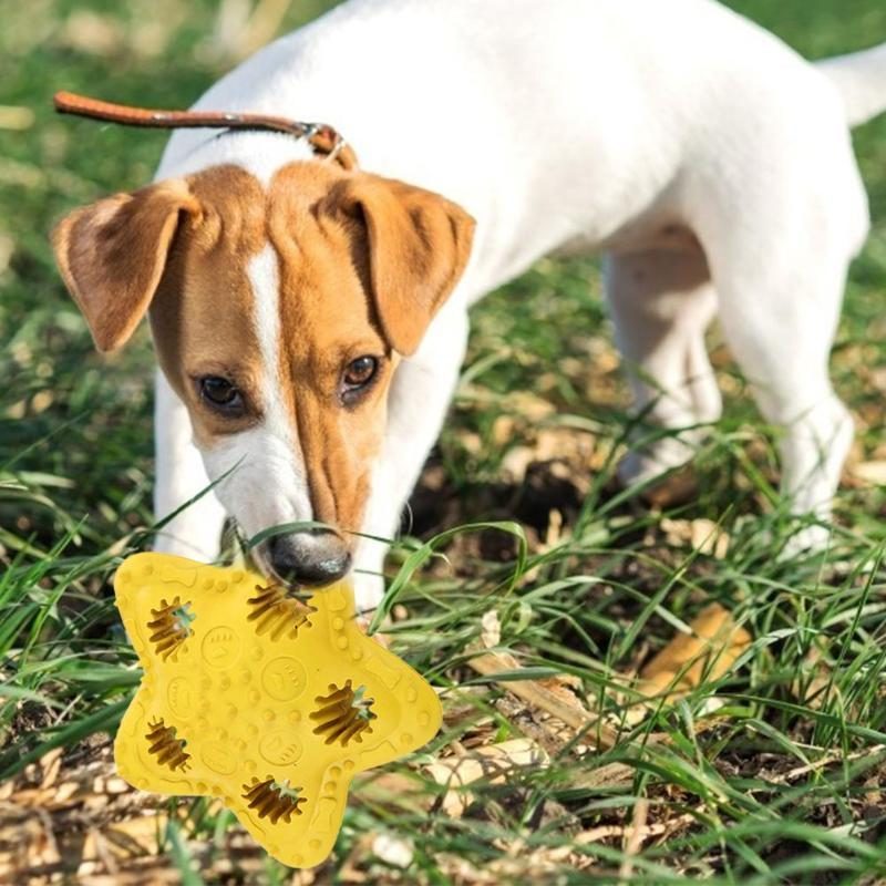 Jouet De Morsure Pour Animaux De Compagnie Résistant Aux Morsures