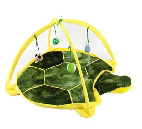  tortue