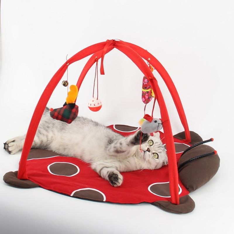 Jouet De Tente De Lit Pour Chats