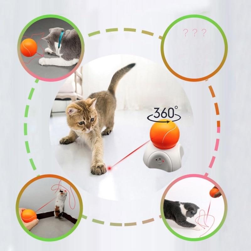 Jouet D'entraînement Interactif Pour Chat De Tennis Détachable