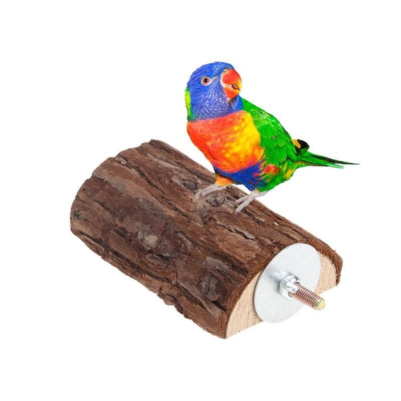 Jouet D'oiseau De Plate-forme De Support D'oiseau En Bois