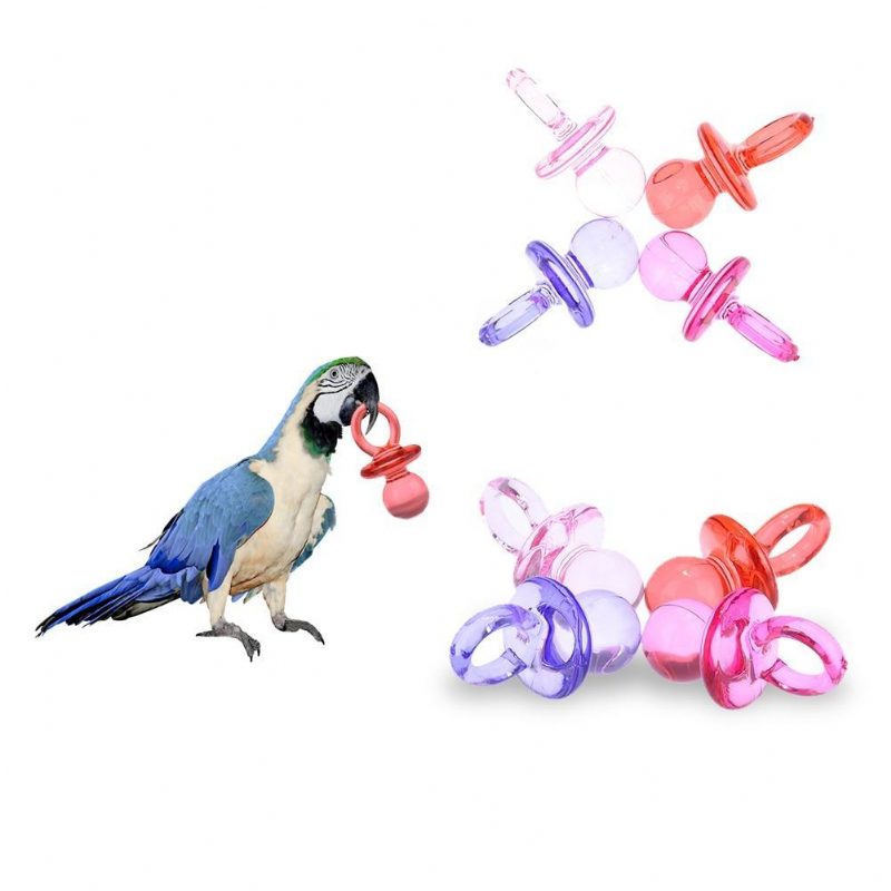 Jouet D'oiseau Tétine Coloré De 4 Pièces Avec Des Couleurs Aléatoires