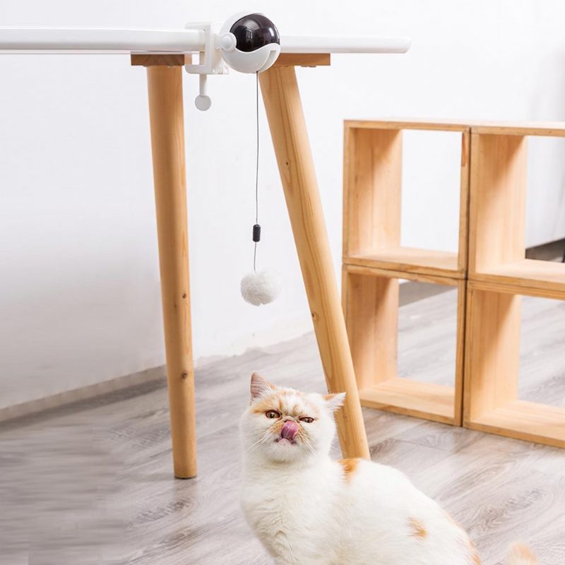 Jouet Électrique Pour Chat