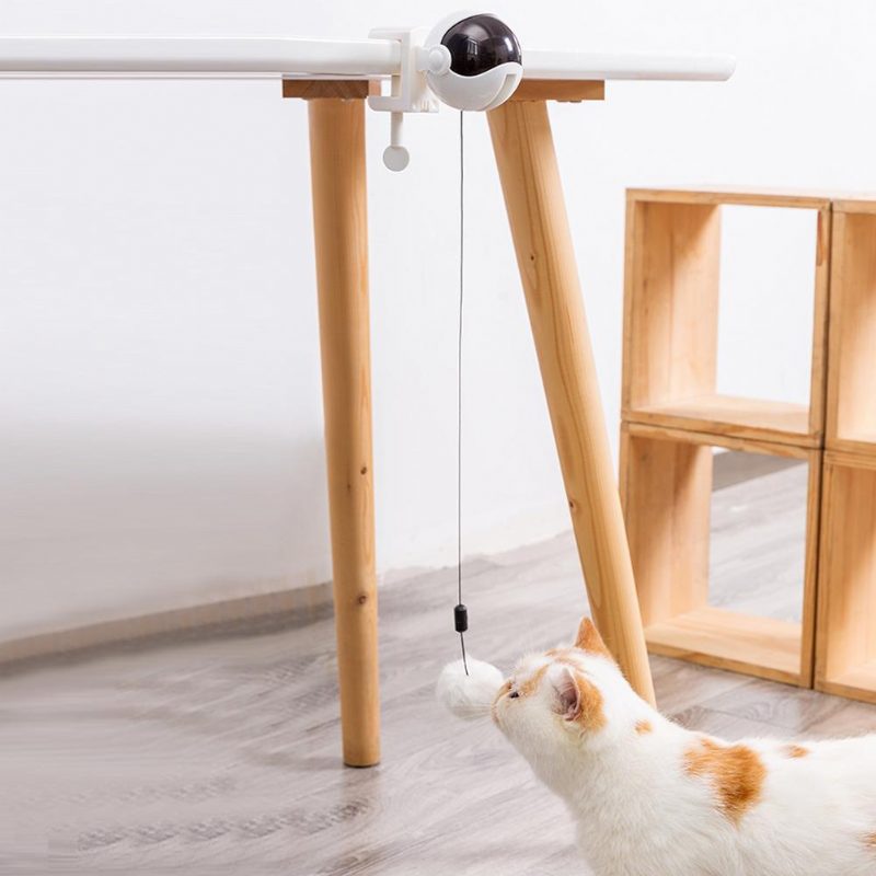 Jouet Électrique Pour Chat