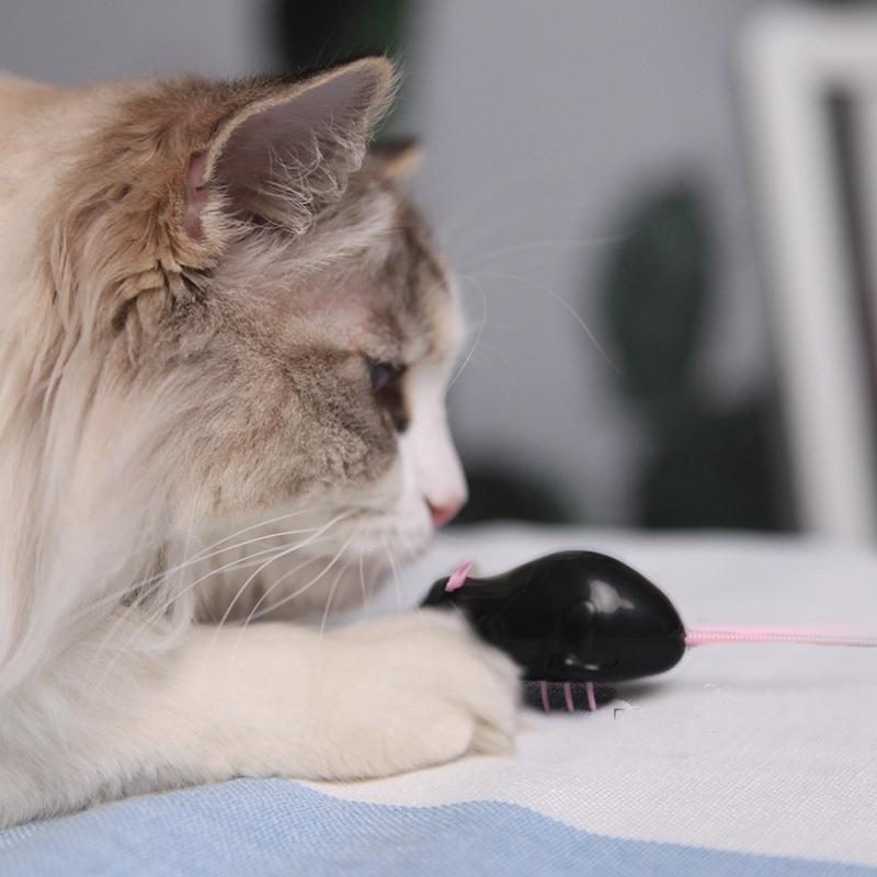 Jouet Pour Chat À Piles