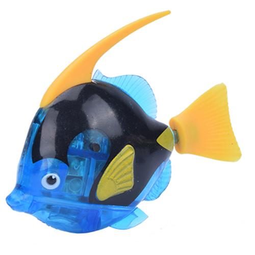 poisson-ange bleu foncé
