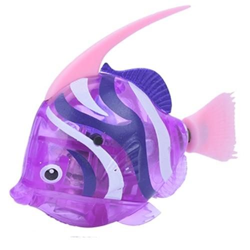 violet poisson-ange
