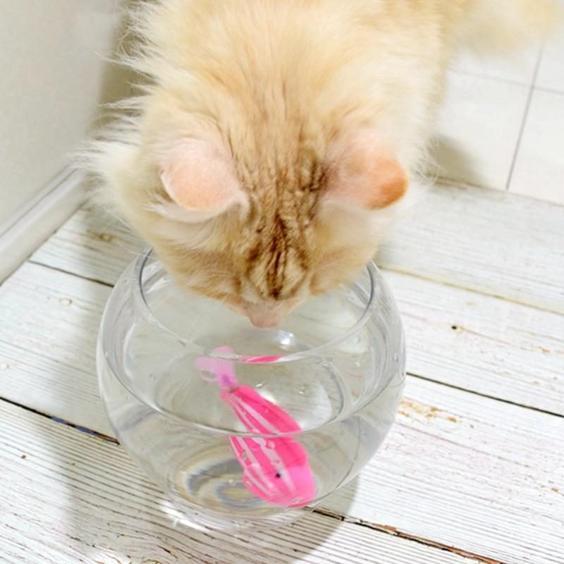 Jouet Pour Chat Poisson À Piles