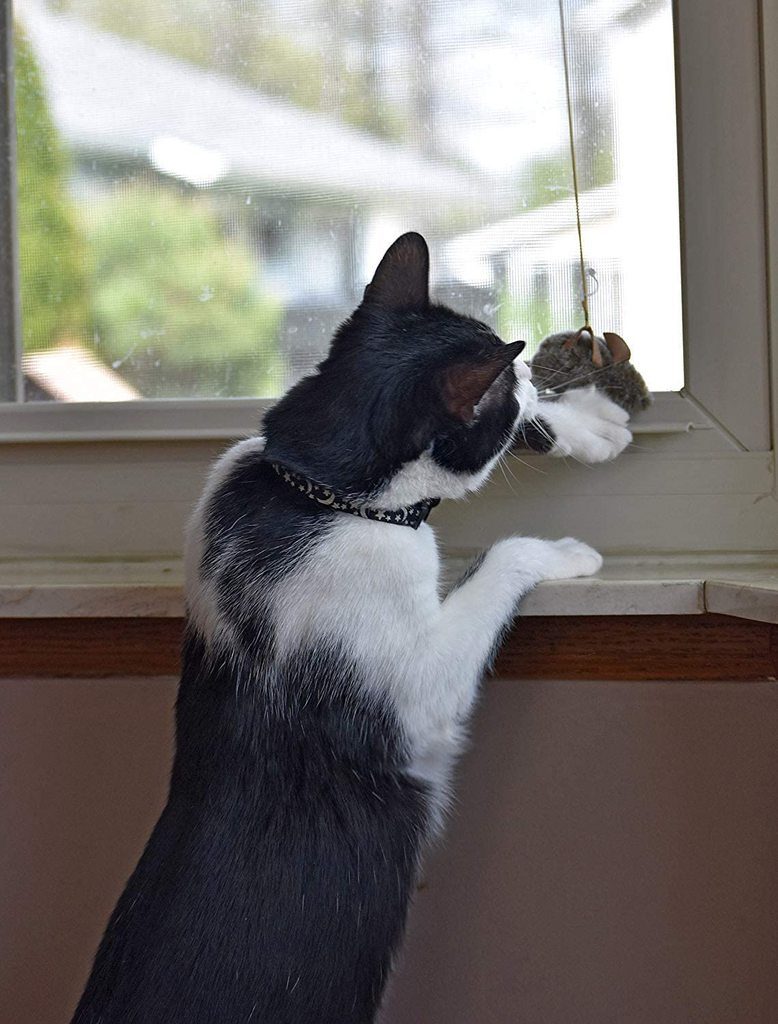 Jouet Pour Chat Souris Grinçante Volante