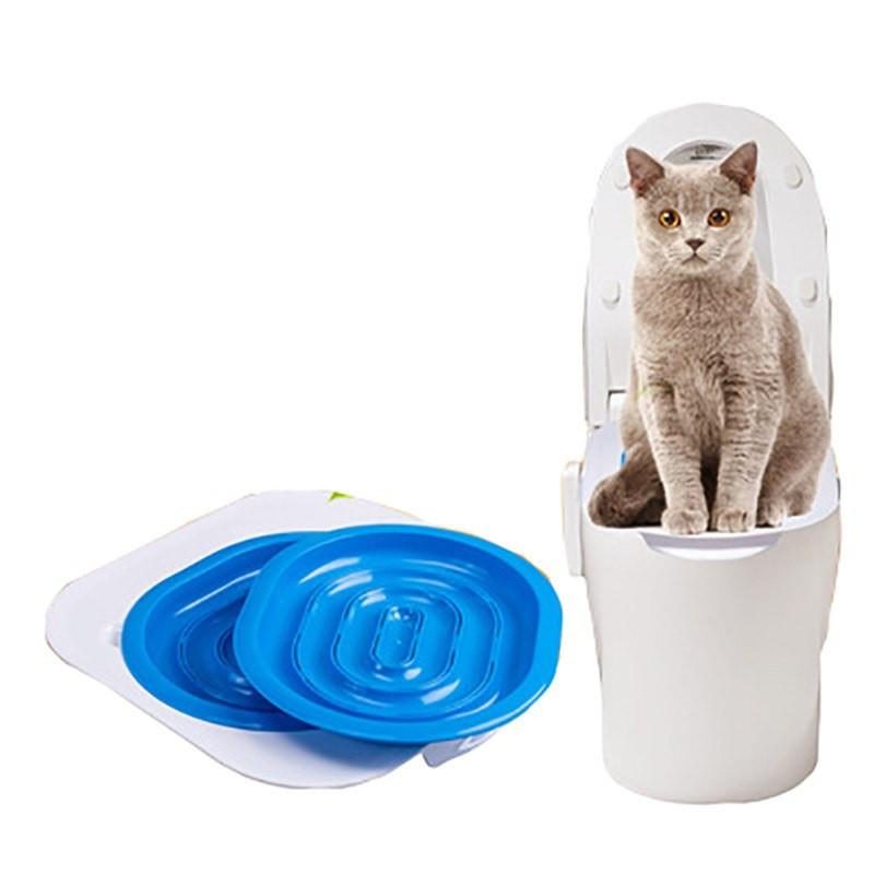 Kit De Formation Sur Les Sièges De Toilette Pour Chat En 4 Étapes Faciles À Apprendre