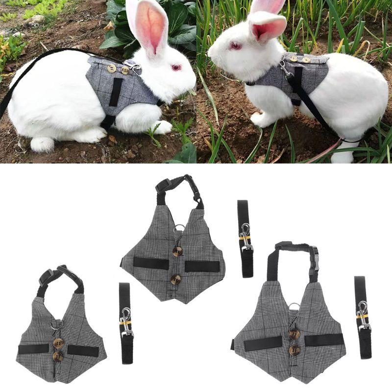 Laisse De Harnais De Style Gilet De Lapin Polyvalent