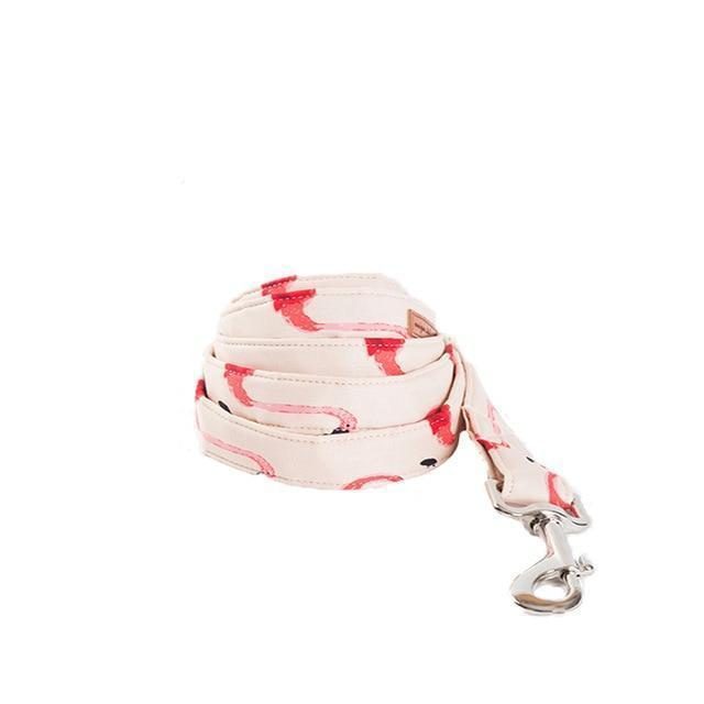 Le Collier Et Laisse Pour Animaux De Compagnie De La Mode Flamingo