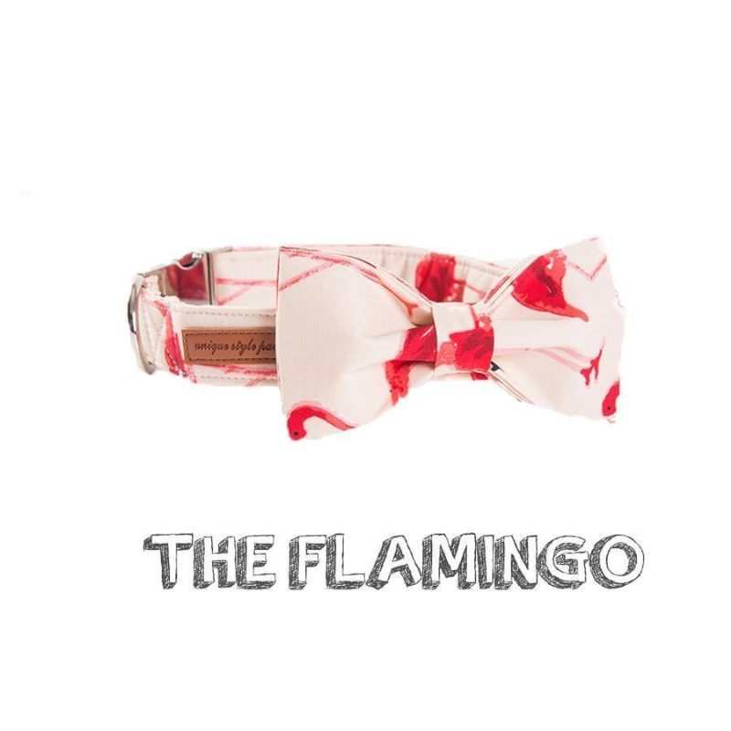 Le Collier Et Laisse Pour Animaux De Compagnie De La Mode Flamingo