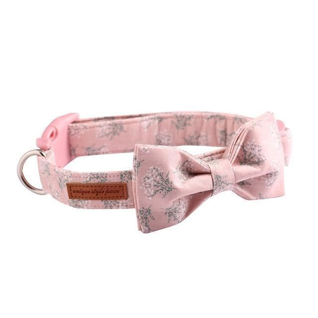 Le Joli Ensemble De Collier Et Laisse Pour Animaux De Compagnie Rose